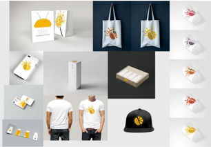 超燃！福州理工學院廣告設計與制作畢業設計優秀作品展點亮創意未來